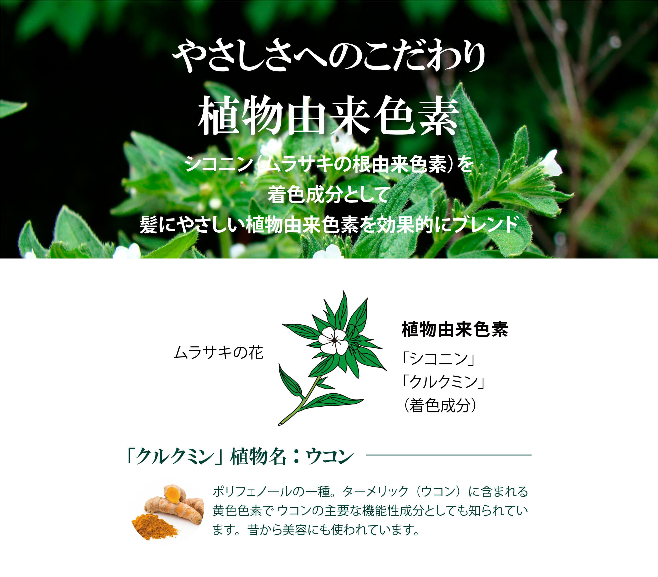 SUNAカラートリートメント｜SUNAブランド｜公式SUNAショップ