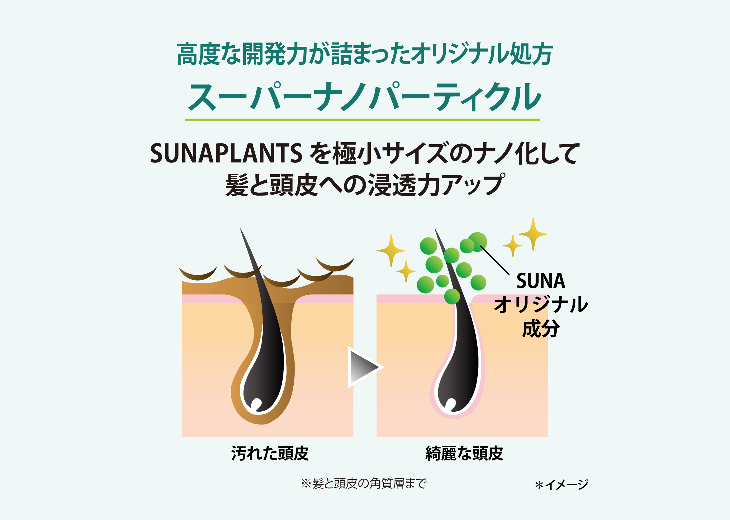 リペアシャンプー｜SUNAブランド｜公式SUNAショップSUNABIOSHOT