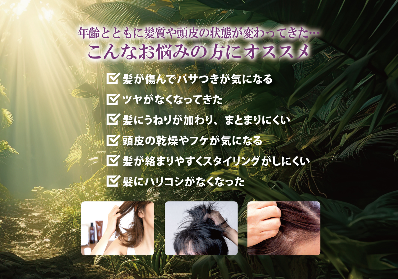 トリートメント sena NOUNE＜ノウネ＞ストレートトリートメント 400ml ※新成分