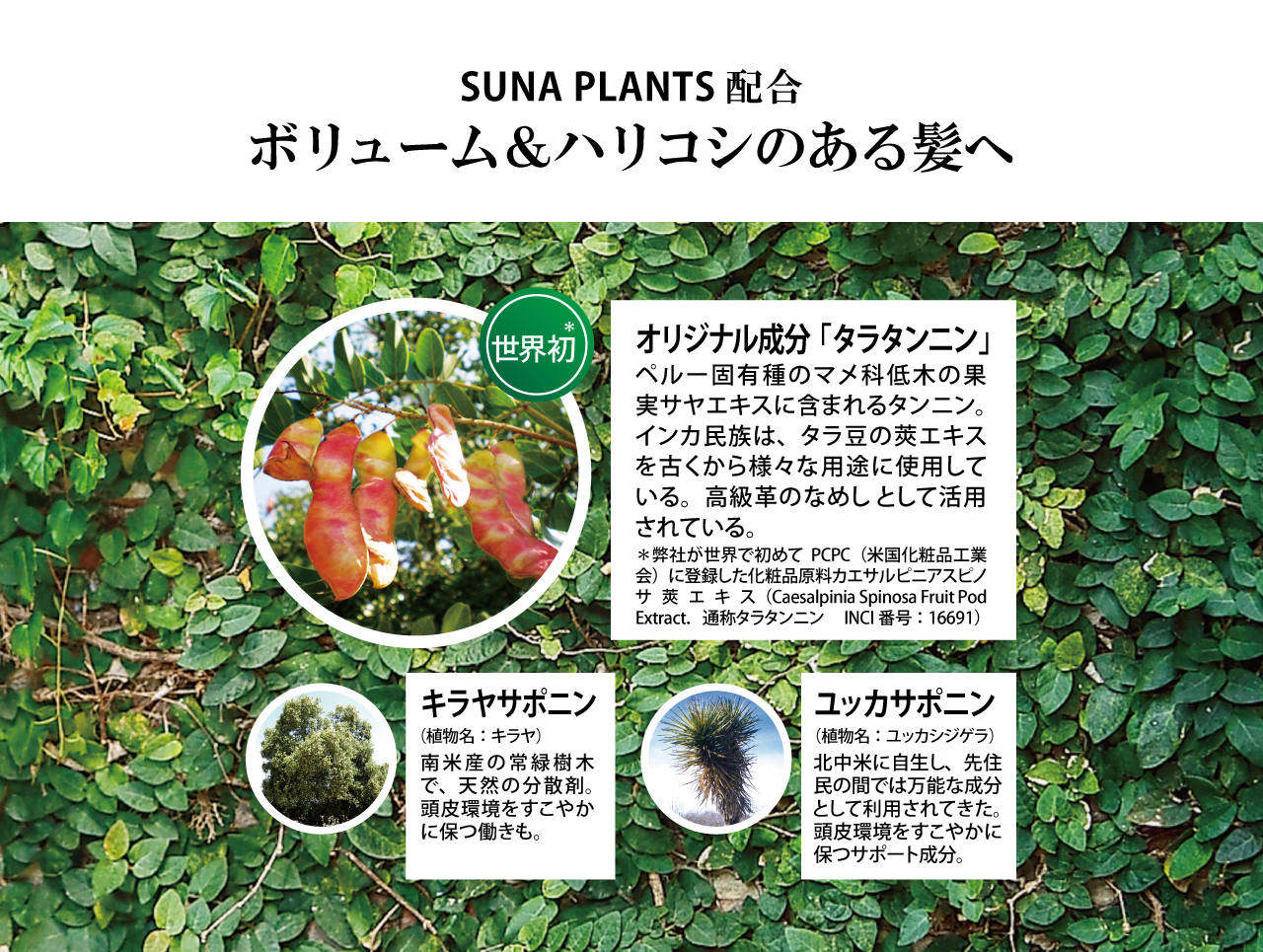 トリートメント sena 4550516474902.jpg