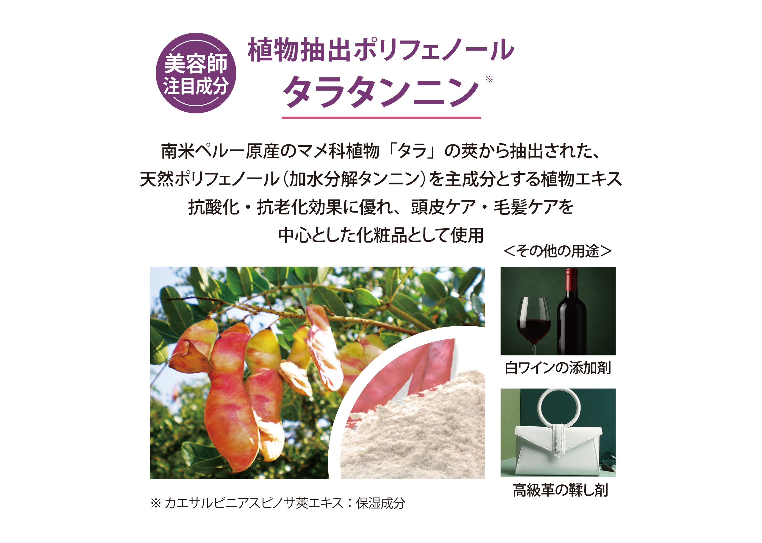 トリートメント｜SUNAブランド｜公式SUNAショップSUNABIOSHOT