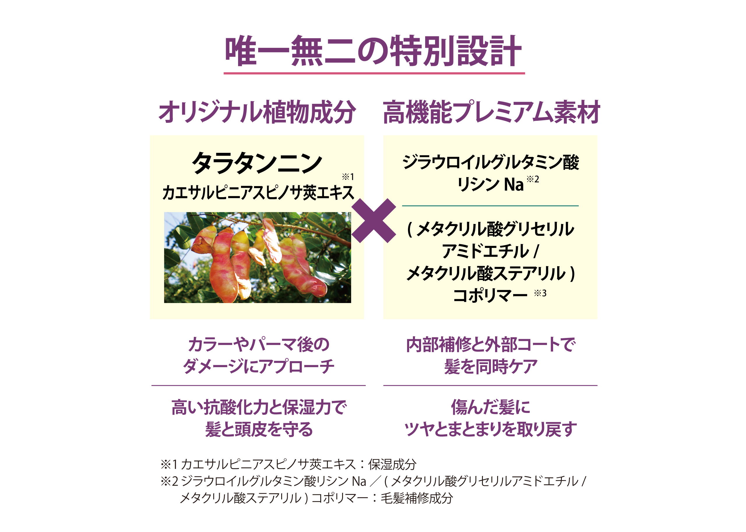 トリートメント｜SUNAブランド｜公式SUNAショップSUNABIOSHOT